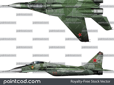 Jet fighter MiG-29 Fulcrum used by air forces of former USSR