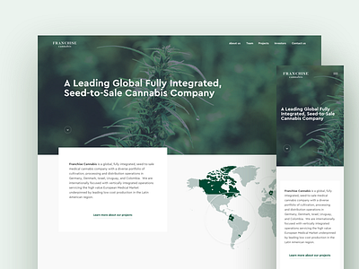 Franchise Cannabis Homepage