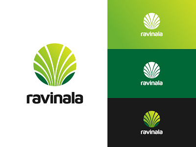 Ravinala Logo Concept branding logo design malagasydesigner