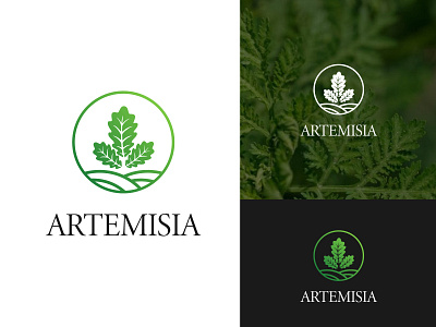 Artemisia Logo concept artemisia logo malagasydesigner plants