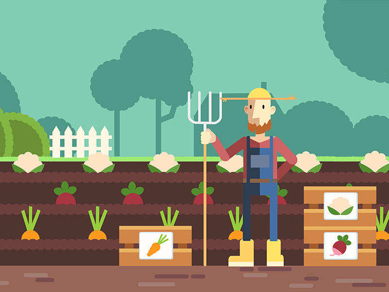 Farmer illustration vector art children illustration motion infographic illustrator vector digital art illustration