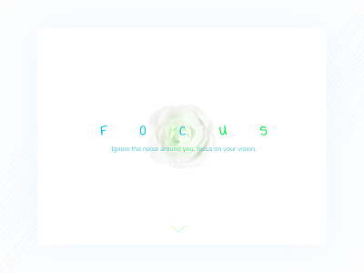FOCUS classical minimalist simple design ui ux web design website website design white