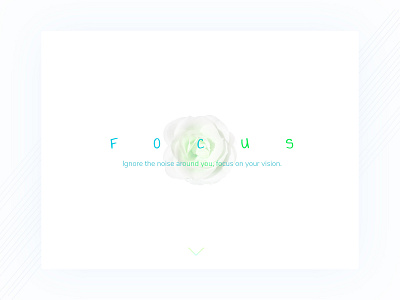 FOCUS