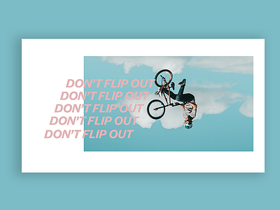 Don't Flip Out advertisement print print ad retail skate