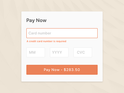 Pay Now credit card dailyui pay now payment