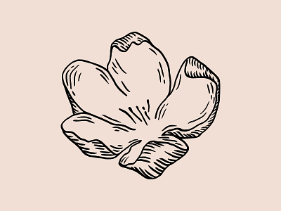Apple Blossom Illustration blossom illustration logo