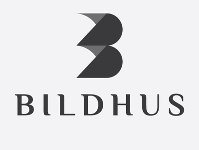 Bildhus brand branding design logo