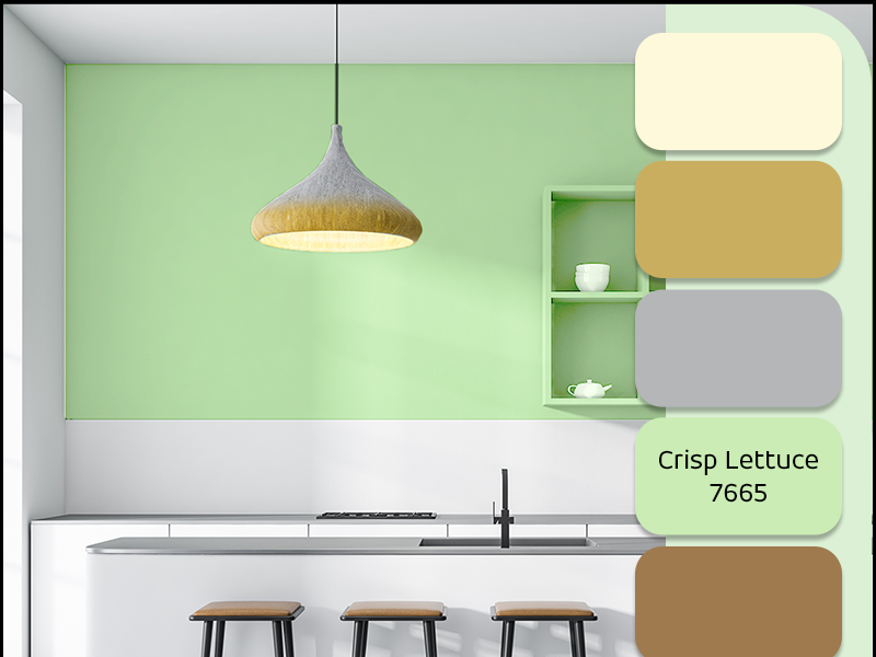 Color Nepal by Asian Paints Nepal on Dribbble