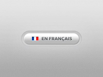 En Français, s'il vous plait button french gray language recess silver