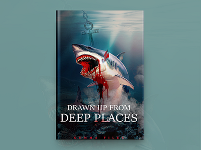 Down Up From Deep Places Book Cover Design