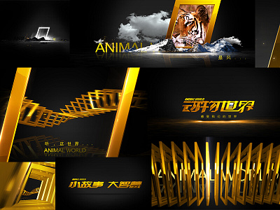 CCTV Animal World 3d c4d cctv chinese design graphic design illustration logo motion graphics