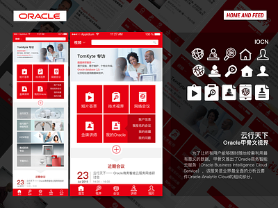 Oracle甲骨文视界 branding chinese design graphic design ui