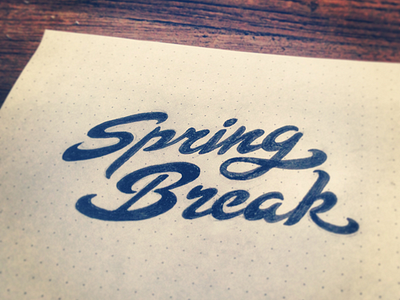 Spring Break break custom drawing hand drawn letters script sketch spring type typography