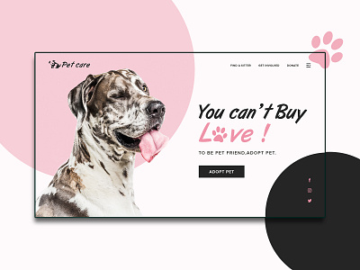 Pet care - Home page branding homepage illustration landing page pet pet care petcare typography ui ux web design website