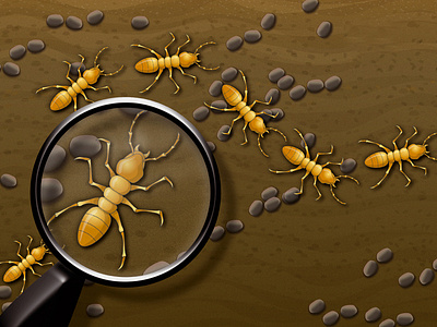 Ant illustration for children's book illustration photoshop vector