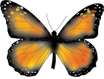 Monarch Butterfly Vector PNG abstract butterfly vector illistration illustrator png vector