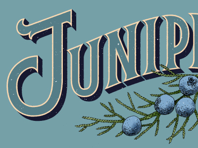 Juniper branding hand lettering lettering logo