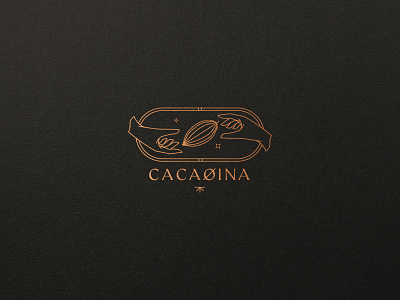 Cacaoina Brand. brand branding design ecuador graphic design hand handmade icon illustration logo mark type typography ui ux vector