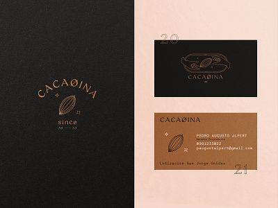 Cacaoina Props. brand branding cacao chocolate design ecuador hand icon illustration logo type typography ui ux vector