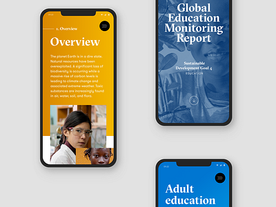 UNESCO: GEM Report Mobile app design ui ux web