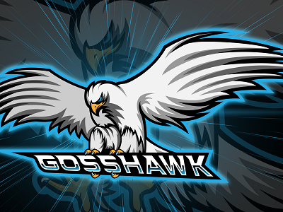 Hawk Mascot Logo bird bird logo design eagle eagle logo esports logo gaming logo gaming mascot logo hawk hawk logo illustration logo mascot mascot logo mascotlogo