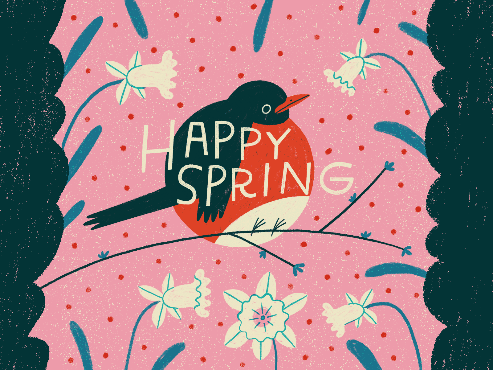 Round Robin animation bird illustration spring
