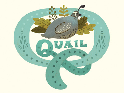 Quail blue illustration lettering quail