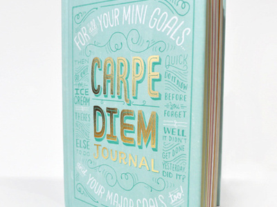 Carpe Diem Journal book chronicle books hand lettering journal lettering