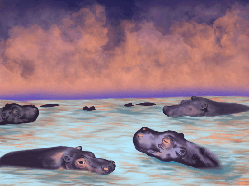 A dale of hippos