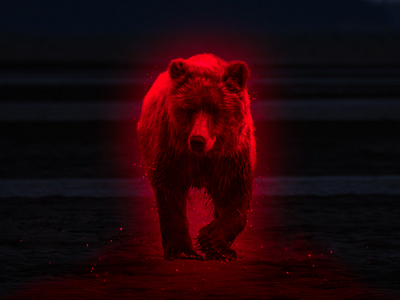 Red bear