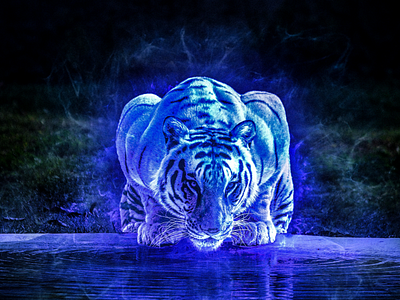 Blue Tiger tiger blue bright