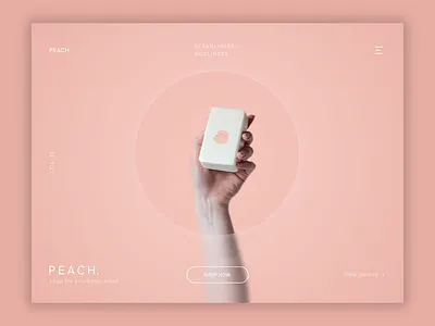 WEEKLY WARMUP // SOAP BRAND beauty branding cosmetics design photoshop ui web web design weekly challenge weekly warm up weeklywarmup