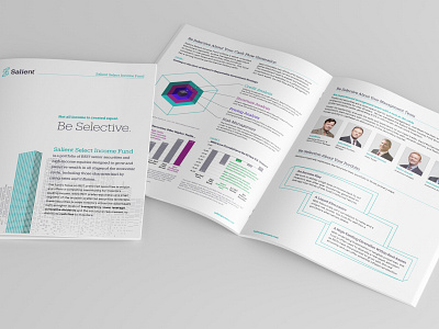 Salient Select Income Fund Brochure