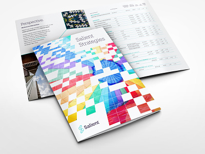 Salient Investment Strategies Brochure branding design financial services illustrator indesign photoshop