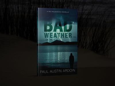 Bad Weather Book Cover book art book cover book cover design book covers design illustrator photoshop typography