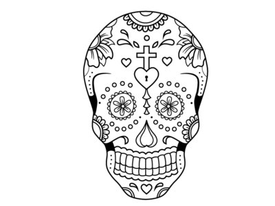 Skull Artwork dead design illustration nepal outline skeleton skull vector