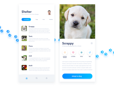 Animal shelter App animal shelter animal shelter app animals app clean design interface ios mobile mobile app shelter ui uidesign uiux user inteface ux uxdesign