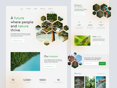Landing page for Nature Conservancy animals charity donate donation fundraise homepage landing page national geographic nature nonprofit subscribe ui ux web webdesign