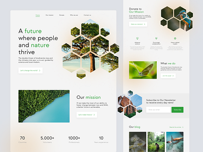 Landing page for Nature Conservancy