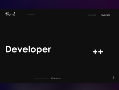 developer portfolio branding design web