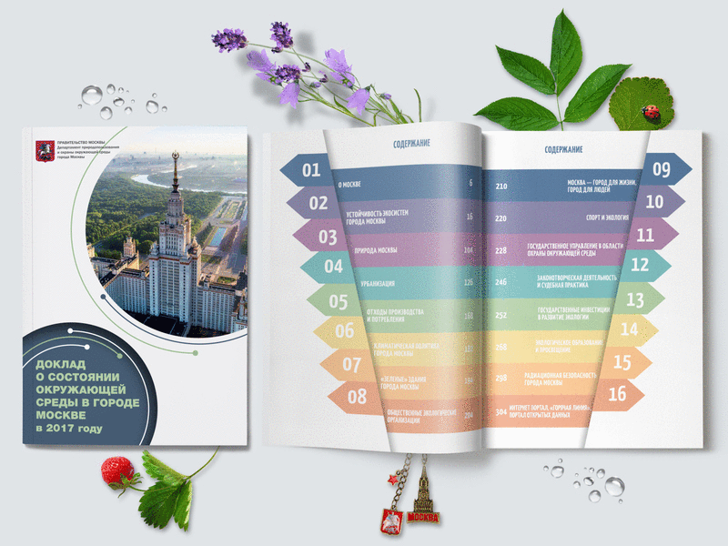 2018 A book for the Department of Natural Resourses (354 pages) design editorial design editorial layout graphic design typography