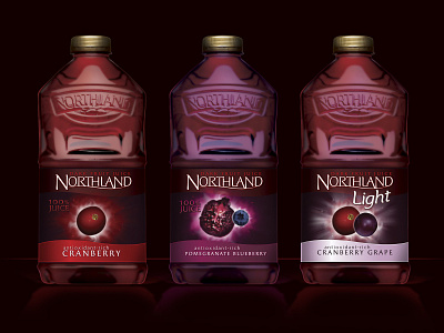 Northland Dark Juice Concept branding design packaging packaging design