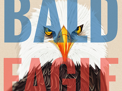 BALD EAGLE |bôld ˈēɡəl| adobe illustrator draw bald eagle birds of prey eagle illustration olbap olbap design olbapdesign vector vector art