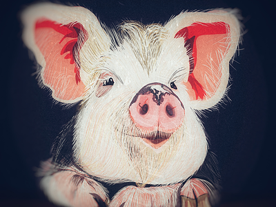 P I G |pig| [Sus Linnaeus, family Suidae Suinae.] adobe draw digital drawing illustration marrano olbap olbap design olbapdesign pig swine vector illustration