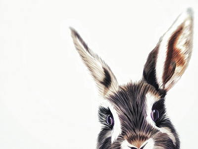 RABBIT |ˈrabɪt|