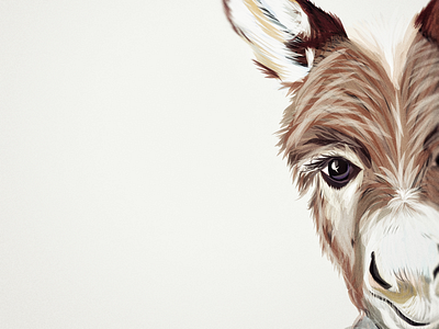 Illustration: DONKEY