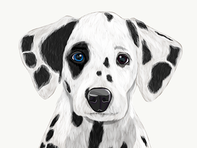 Illustration: The Dalmatian /dalˈmeɪʃ(ə)n/ adobe draw dalmatian design digital art dog dog illustration illustration nofilters olbap olbap design olbapdesign puppy vector vector art vector artwork vector illustration
