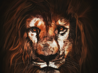 Illustration: Lion /ˈlʌɪən/ adobe fresco illustration leo leon lion olbap olbap design olbapdesign vector vector illustration