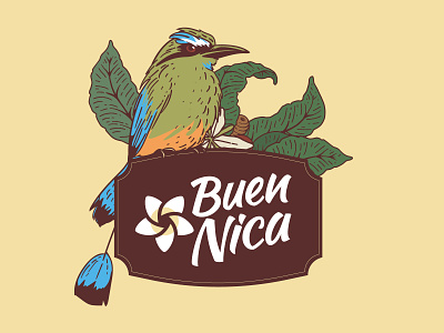 Buen Nica - Illustration bird brand coffee design illustration logo plumeria tipo tuani vector