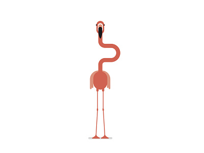 Flamingo 2d flamingo illustration nature simple stylish vector